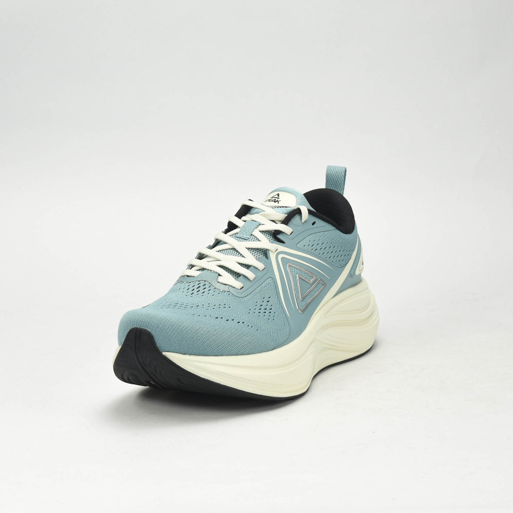 PEAK SPORTS SHOES ET59037H-Z577