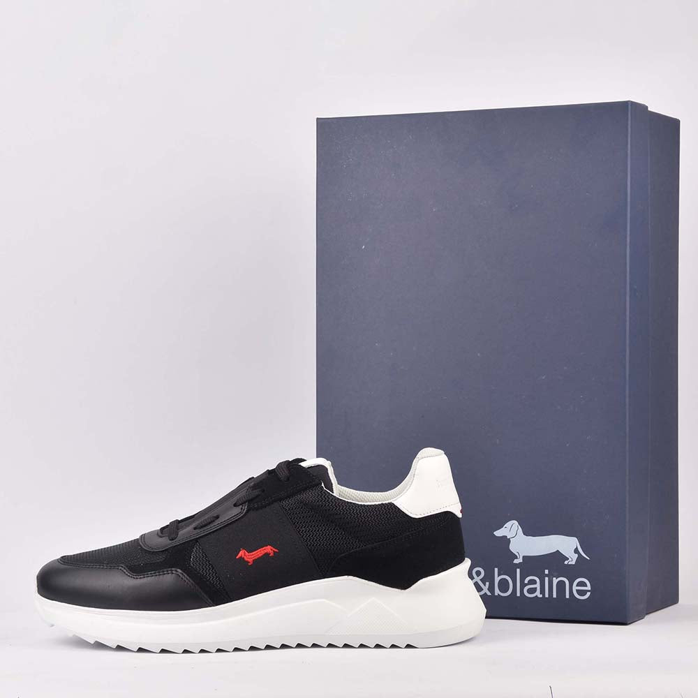 HARMONT AND BLAINE SCARPA UOMO CALF NERO EFM231-062-6250