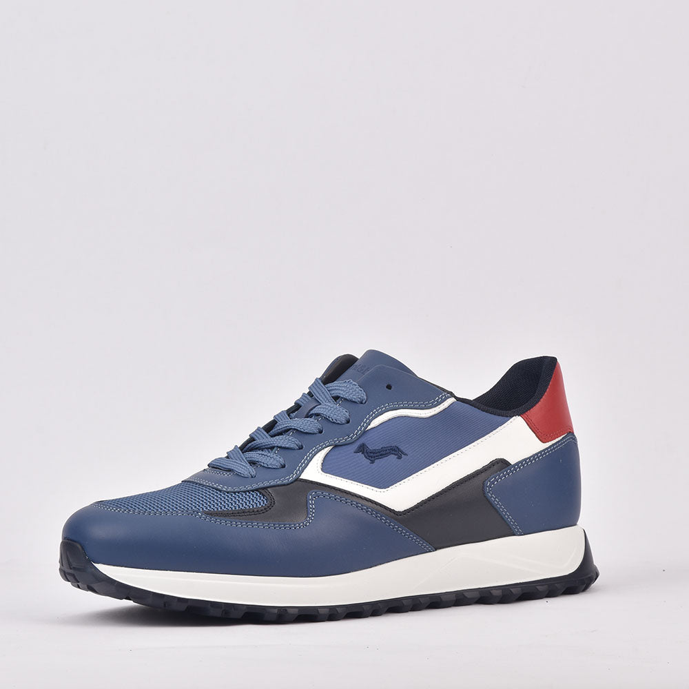 HARMONT AND BLAINE SCARPA UOMO CALF AZZURRO EFM231-079-6470