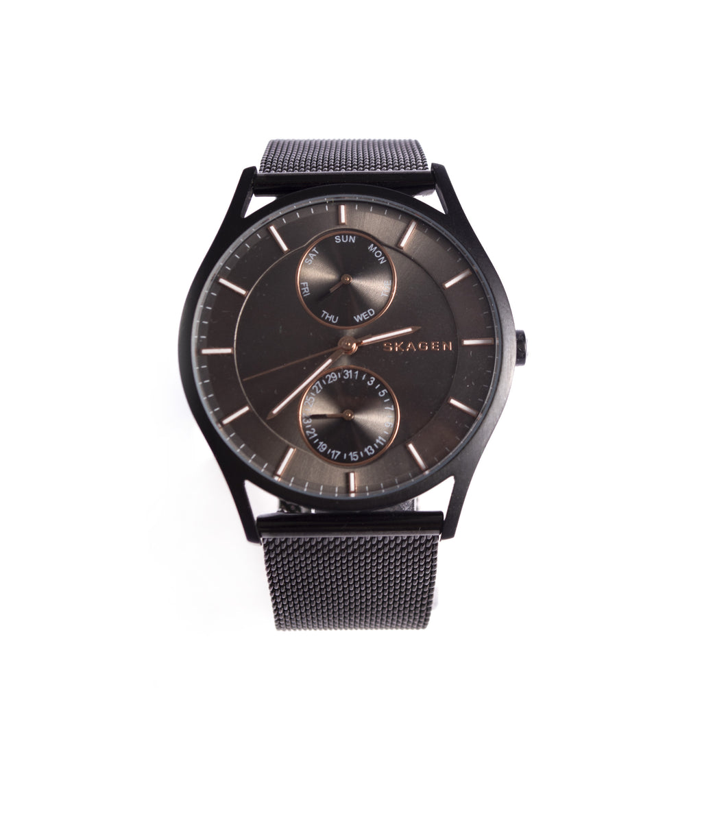 SKAGEN HOLST SKW6180 \ 2001