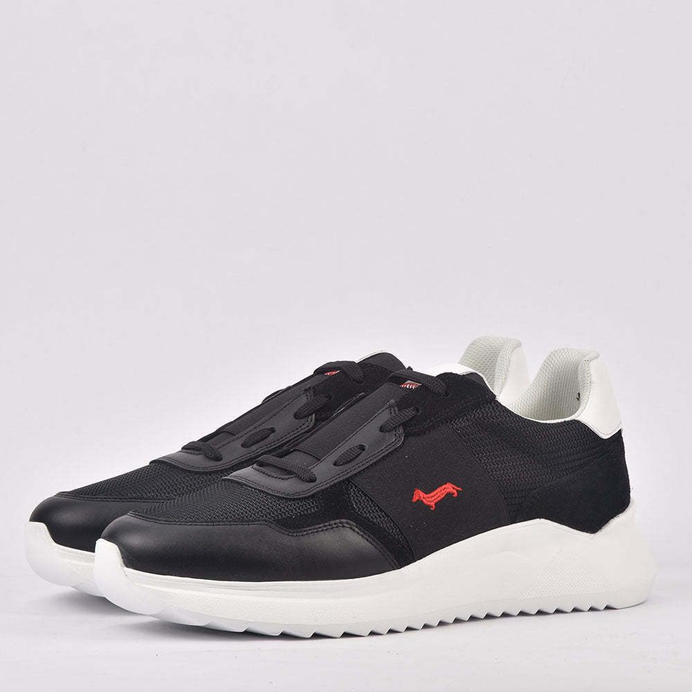HARMONT AND BLAINE SCARPA UOMO CALF NERO EFM231-062-6250