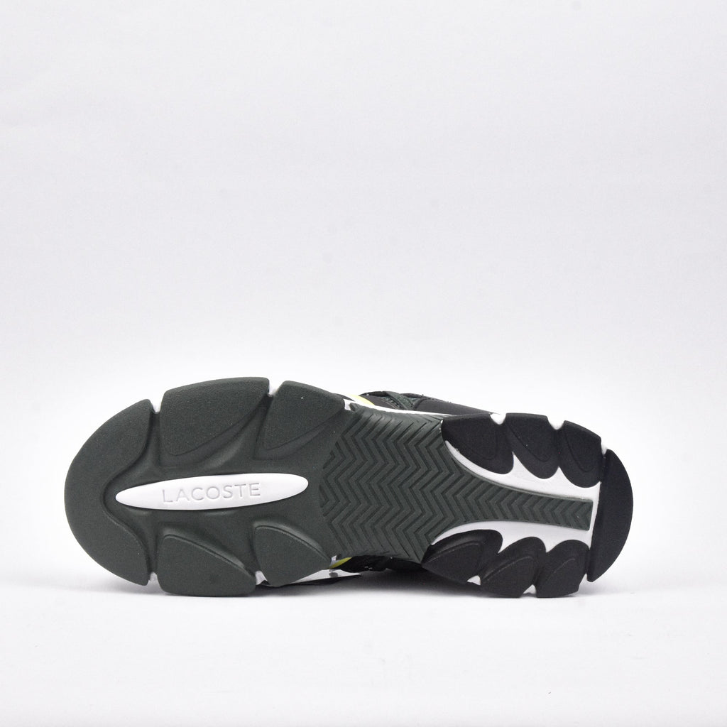 LACOSTE GNR/BLK \ 746SMA0002GB1