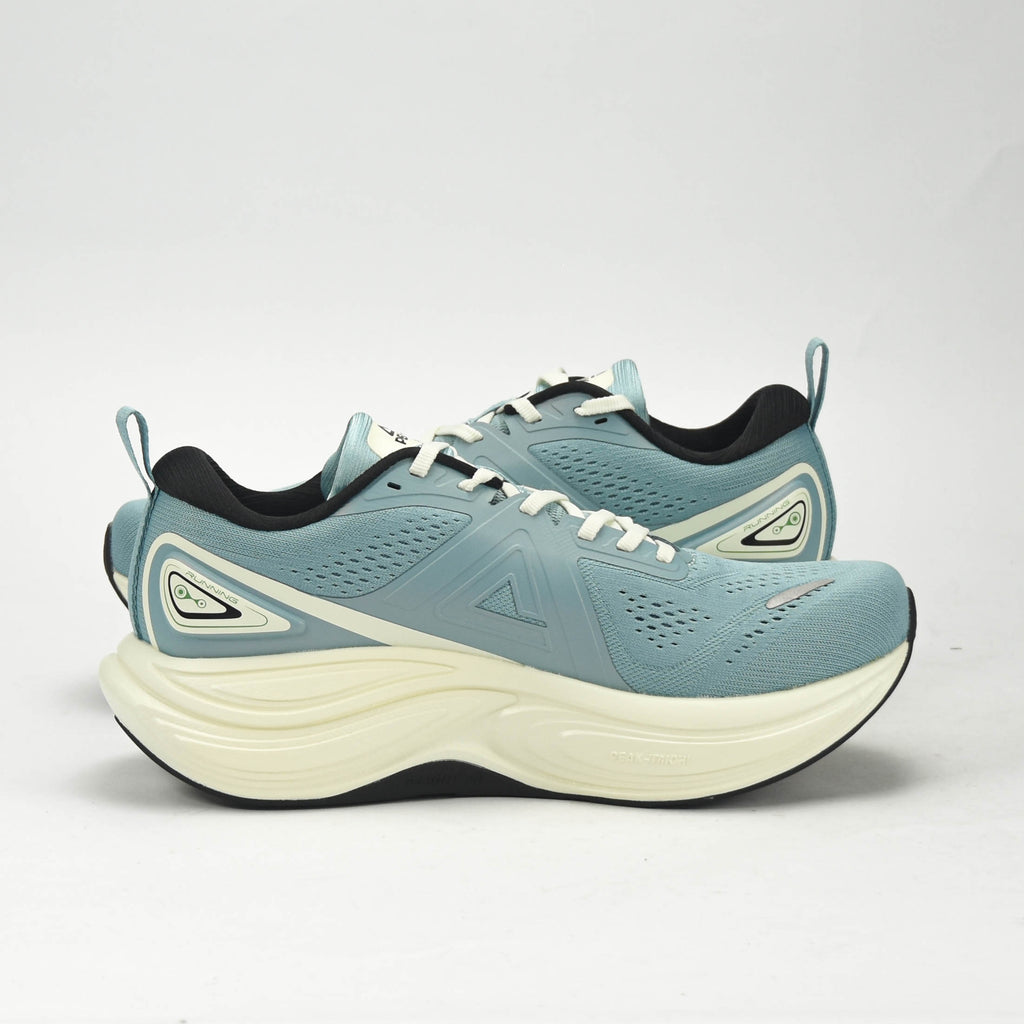 PEAK SPORTS SHOES ET59037H-Z577