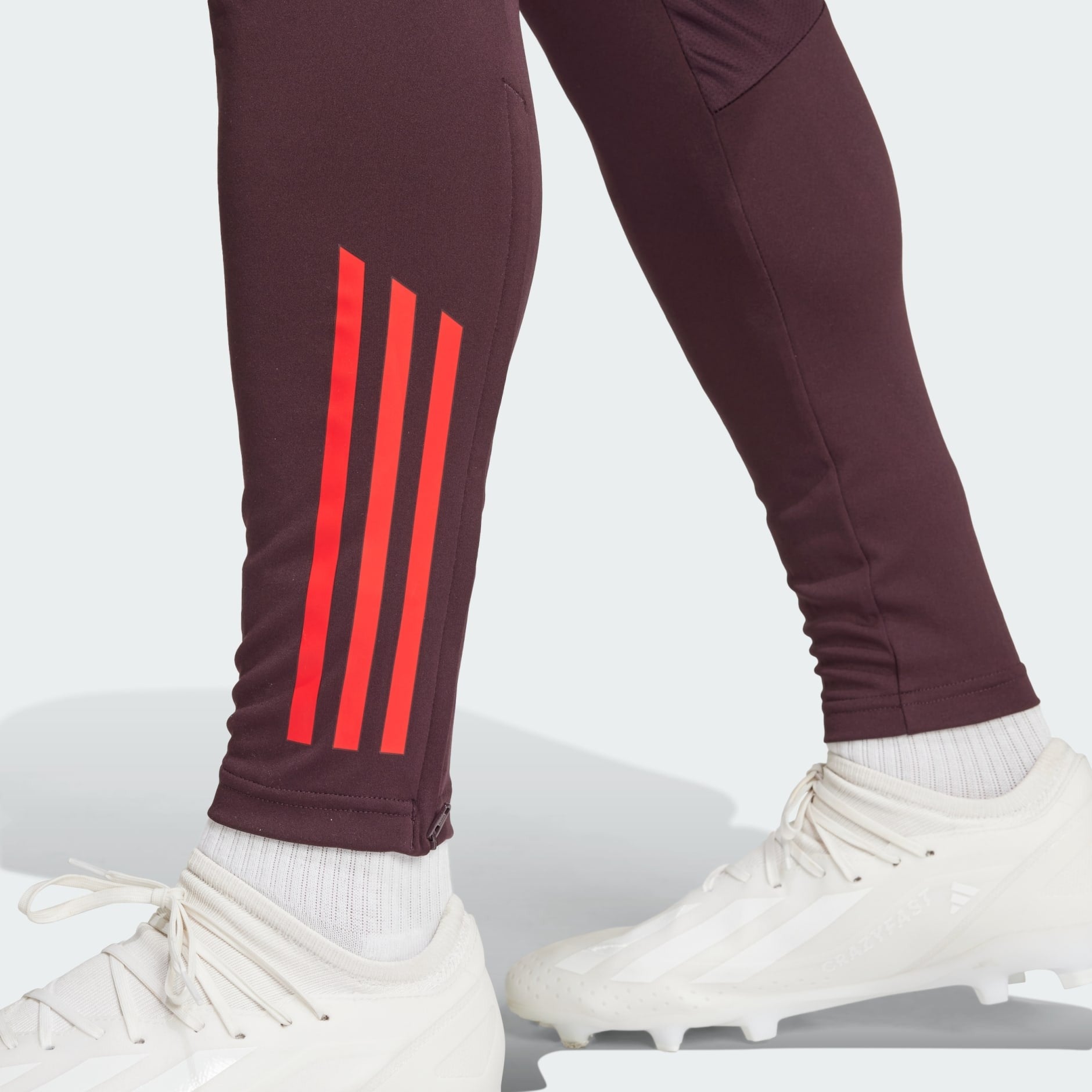 Pantalon d'entraînement FC Bayern Tiro 24 Adidas IS9939