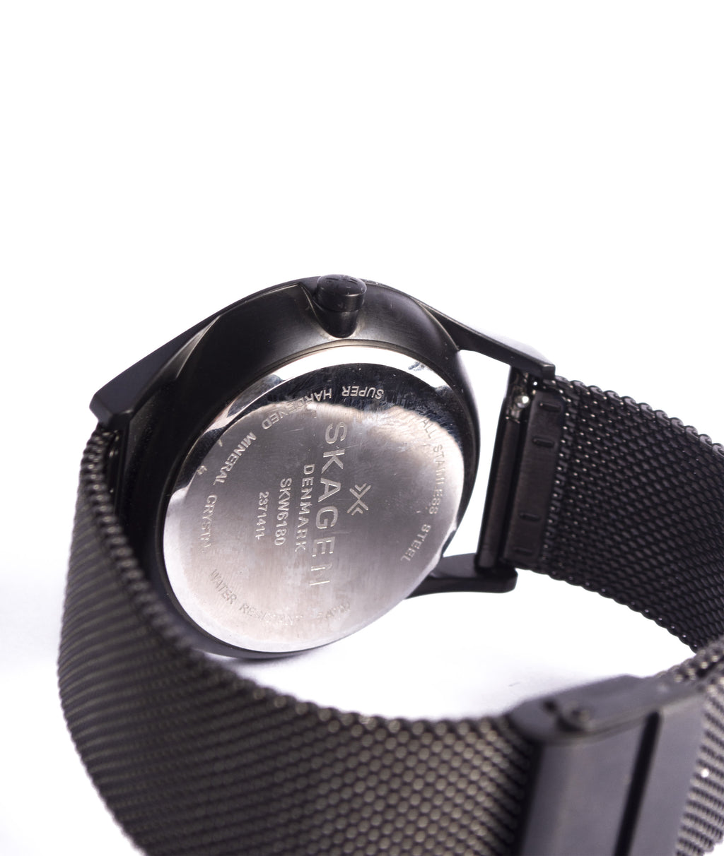 SKAGEN HOLST SKW6180 \ 2001