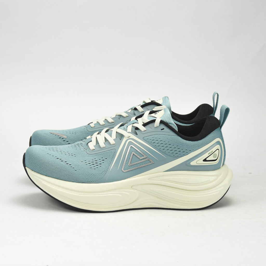 PEAK SPORTS SHOES ET59037H-Z577