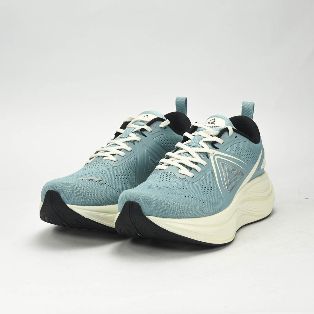 PEAK SPORTS SHOES ET59037H-Z577