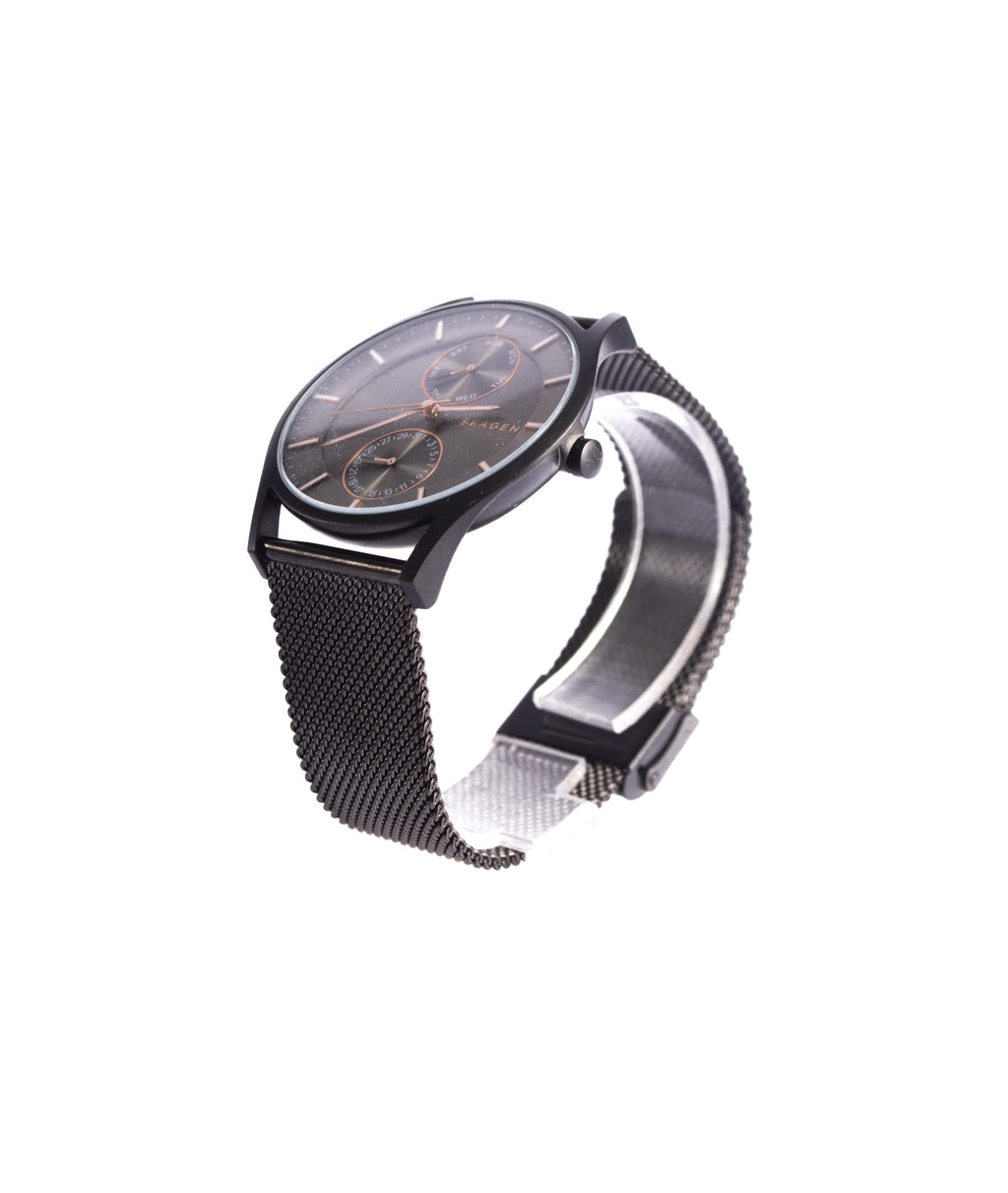 SKAGEN HOLST SKW6180 \ 2001