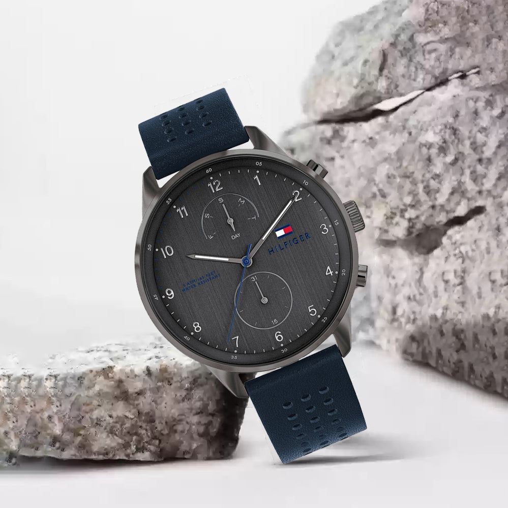 تومي هيلفيغر 1791578