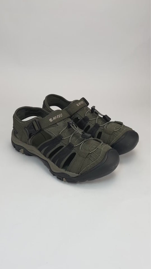 Shaol Bay Sea Turtle-Taupe  O014424